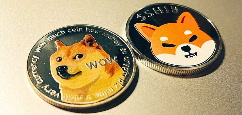 Dogecoin Investors Vs Shiba Holders; Who’s Doing Better?